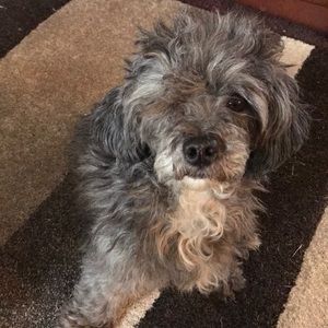 Meet your Posher, Lydia